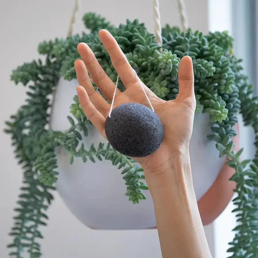 Konjac Facial Sponge - Charcoal